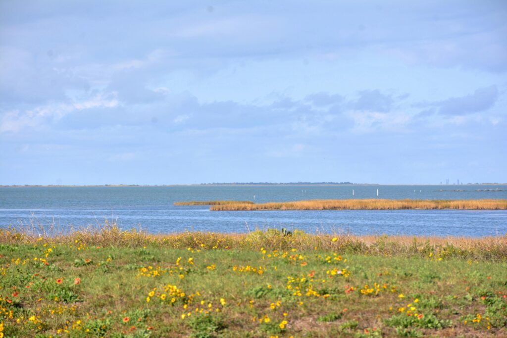 unrestricted land for sale, owner financed land for sale, owner financed land for sale in missouri, land for sale in texas, vacant land for sale in texas, texas land for sale, cheap land for sale, for sale land in texas, land in texas for sale, owner financed land in texas, cheap land financing, texas ranches for sale, how to find land for sale, ranch land for sale, texas ranch for sale, land for sale in new mexico, new mexico land for sale, land for sale near me, off grid land for sale, for sale in texas