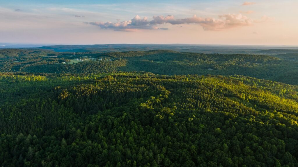 Hunting Land for Sale Owner Financing: 5 Best States