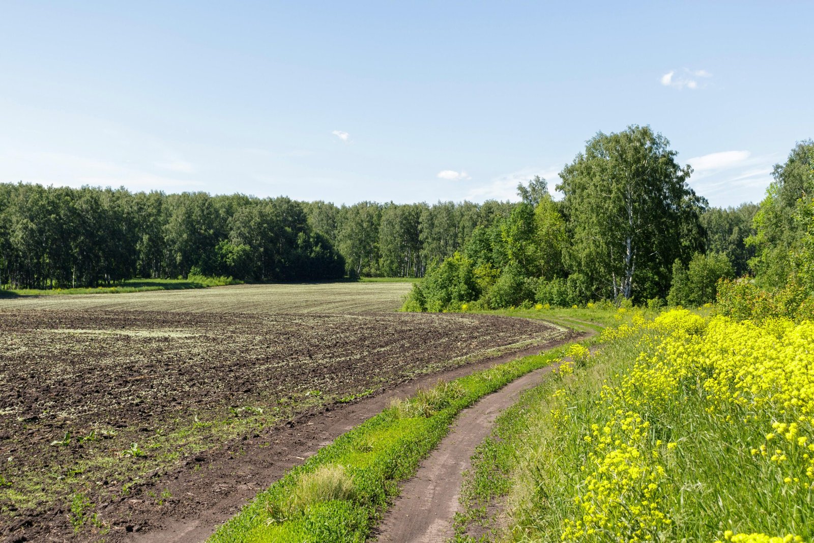 10 acres in Florida with existing well and septic 