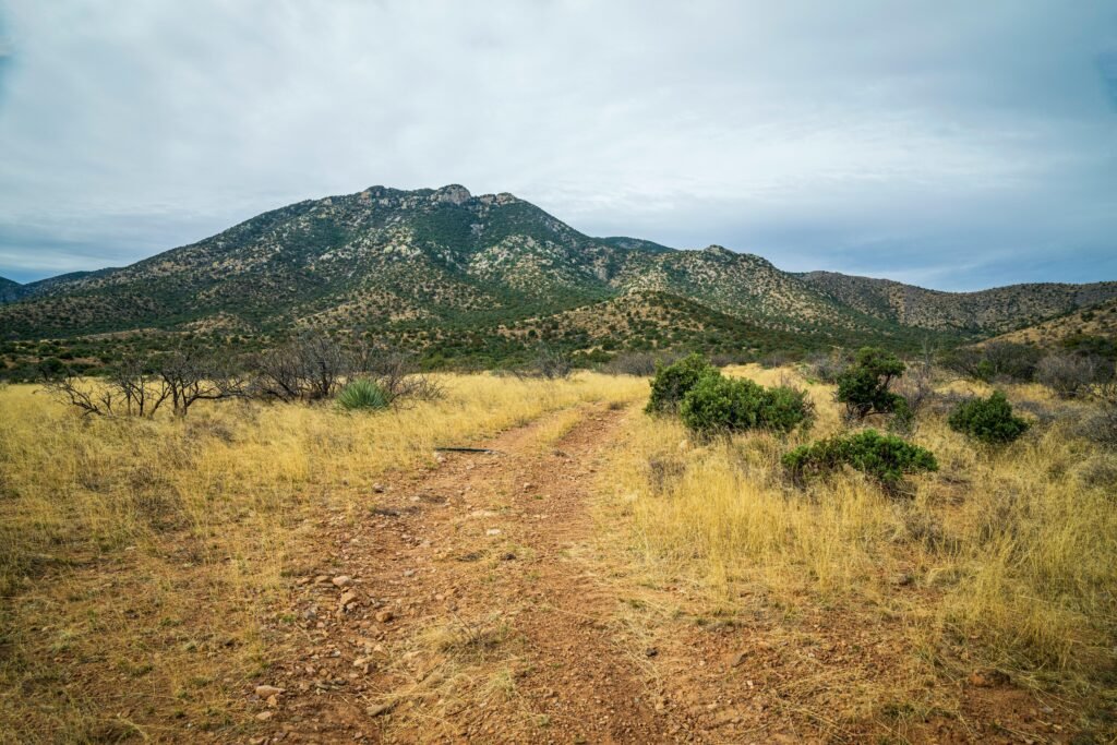 Cheap Land Hudspeth County TX Owner Financing