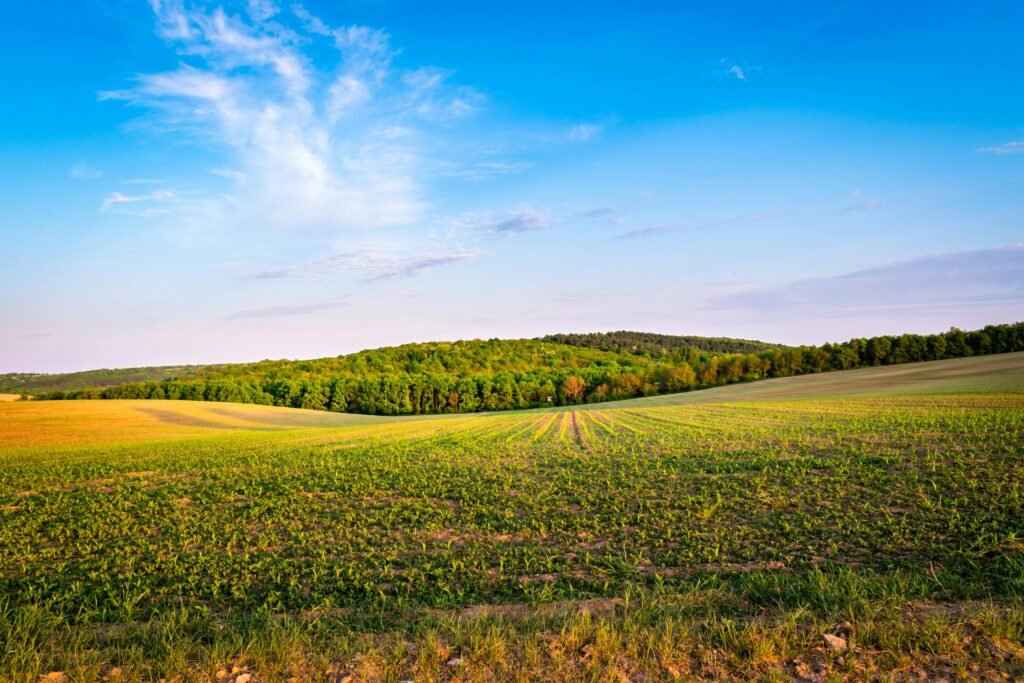 Oklahoma Land for Sale Owner Financing: $200 Down, No Credit Check