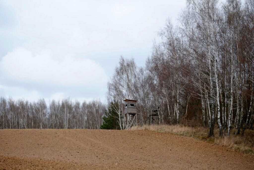 Hunting Land for Sale Owner Financing: 5 Best States