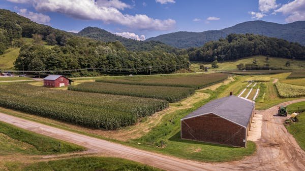 Hunting Land for Sale Owner Financing: 5 Best States