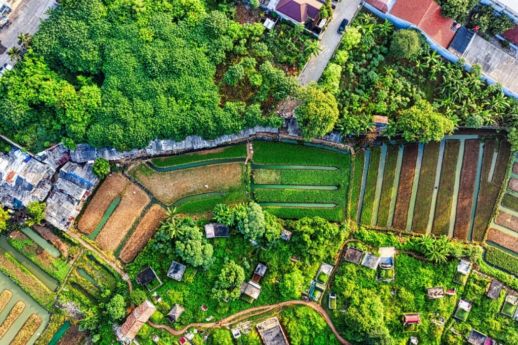 Zoning Laws for Land in California Explained (2026 Guide)